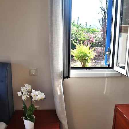 Eglina Celeste * Миния